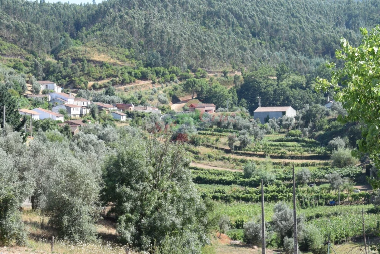 Quinta T2 para Venda em Lavegadas Foto 79