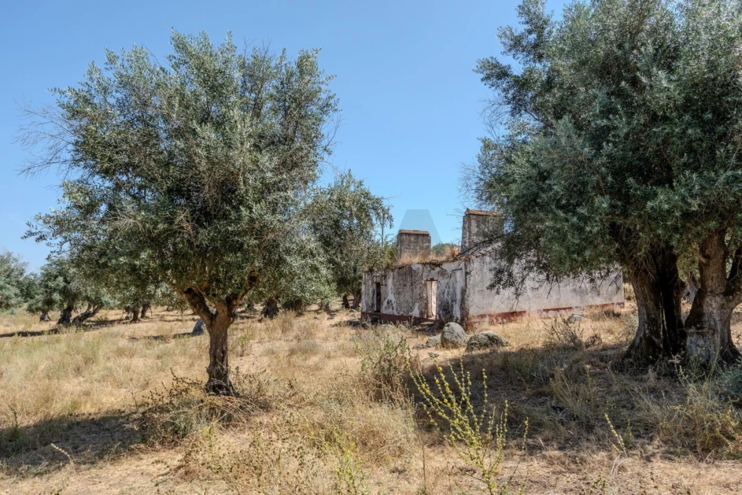 Terreno para Venda em São Cristovão Foto 12