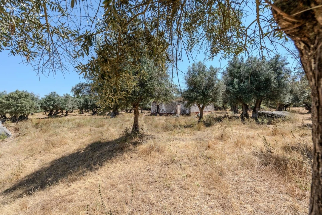 Terreno para Venda em São Cristovão Foto 21