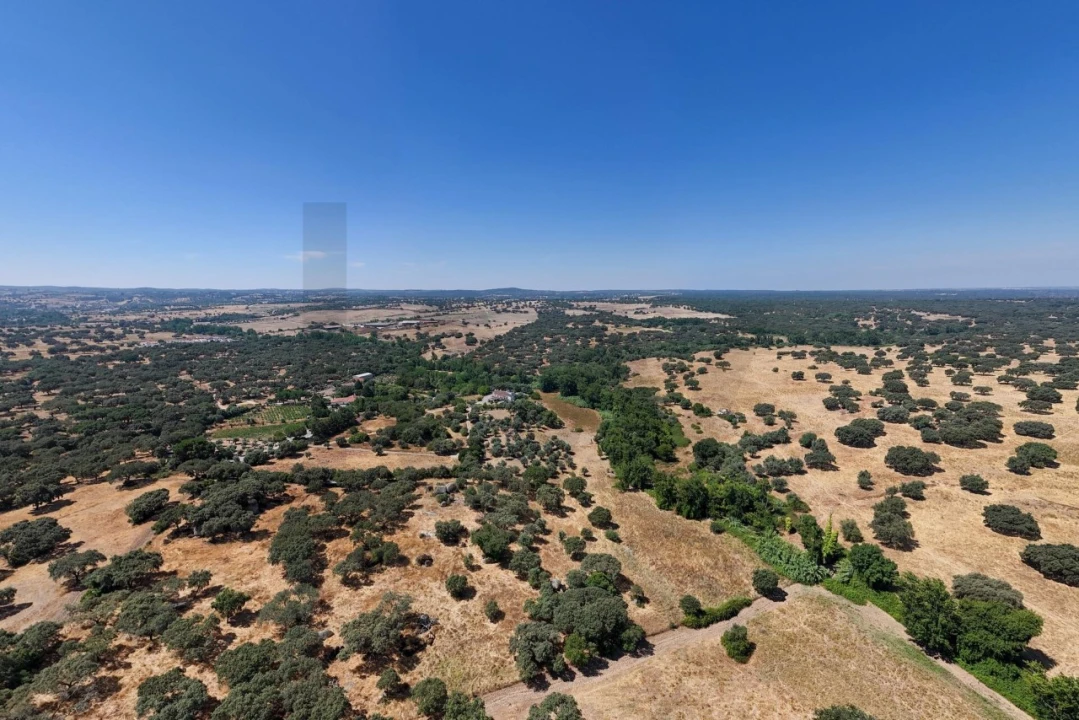 Terreno para Venda em São Cristovão Foto 29