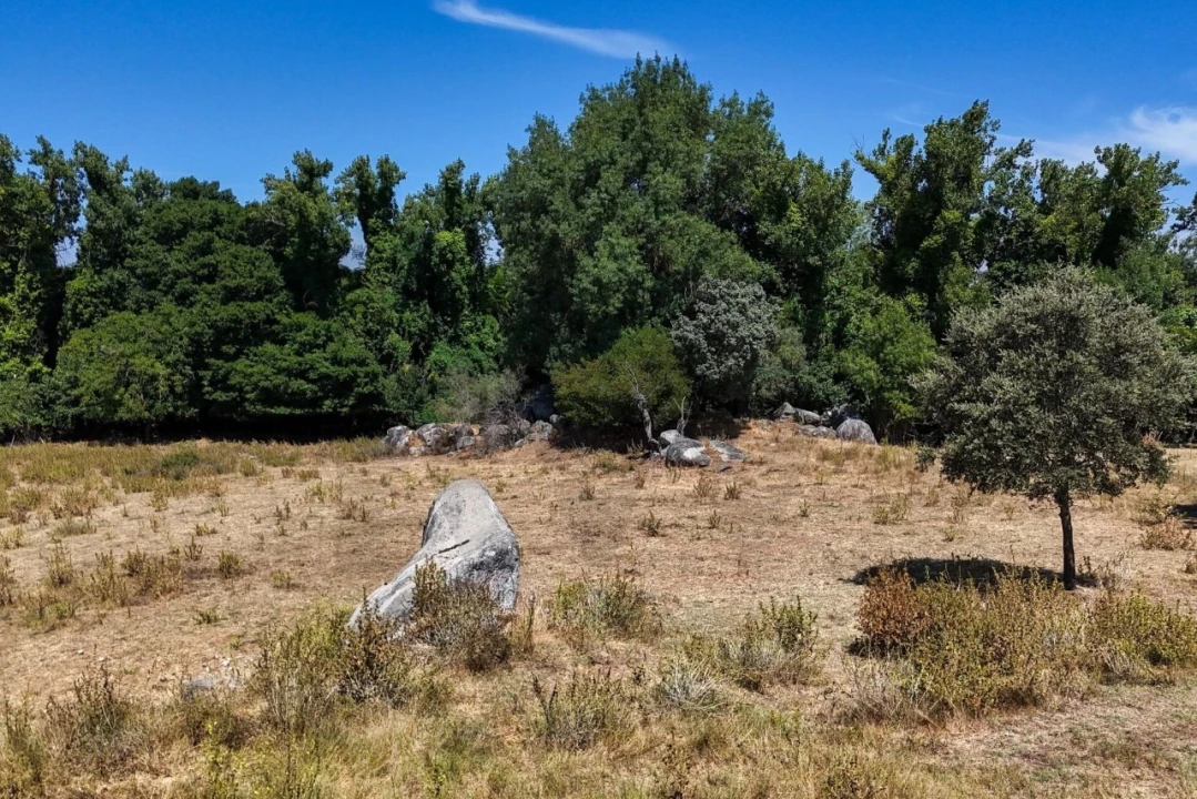 Terreno para Venda em São Cristovão Foto 33
