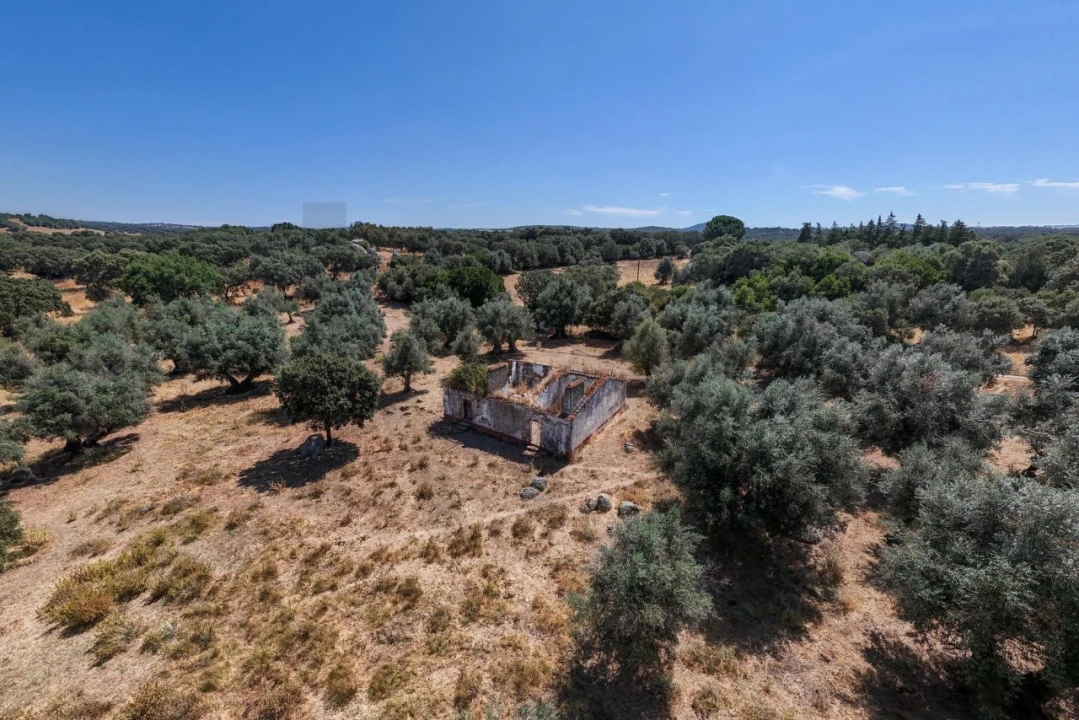 Terreno para Venda em São Cristovão Foto 23