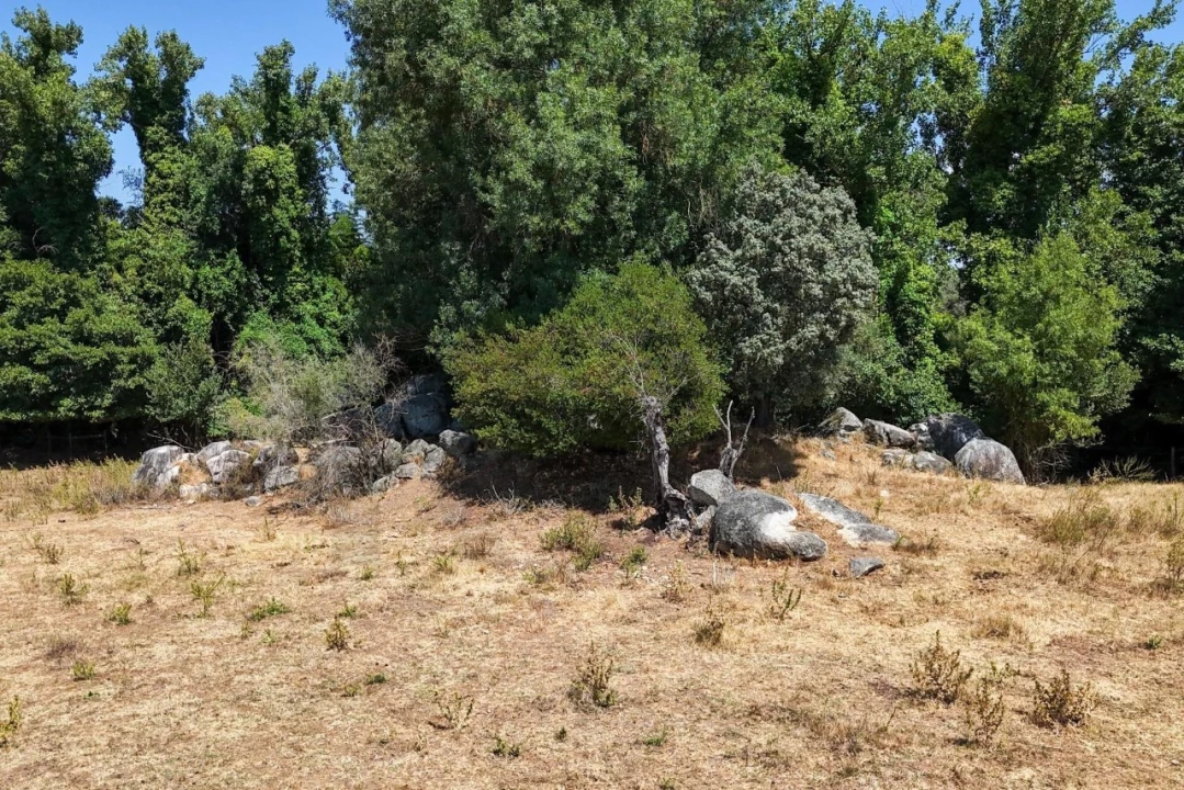 Terreno para Venda em São Cristovão Foto 27