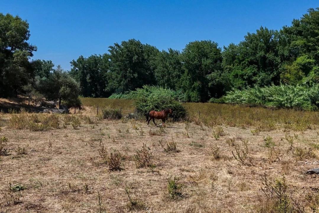 Terreno para Venda em São Cristovão Foto 36