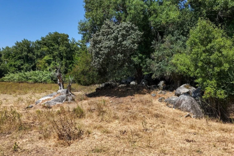 Terreno para Venda em São Cristovão Foto 35