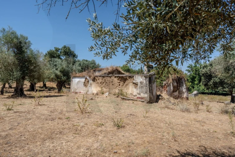 Terreno para Venda em São Cristovão Foto 40