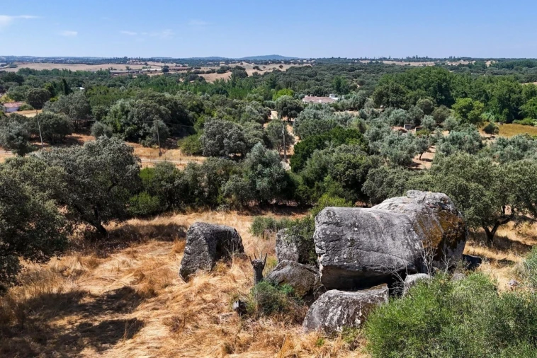 Terreno para Venda em São Cristovão Foto 17