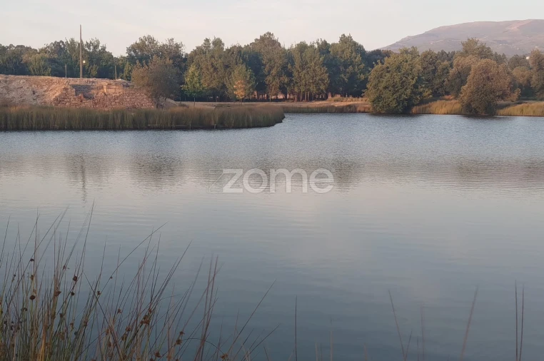 Terreno para Venda em Seia, São Romão e Lapa dos Dinheiros Foto 9