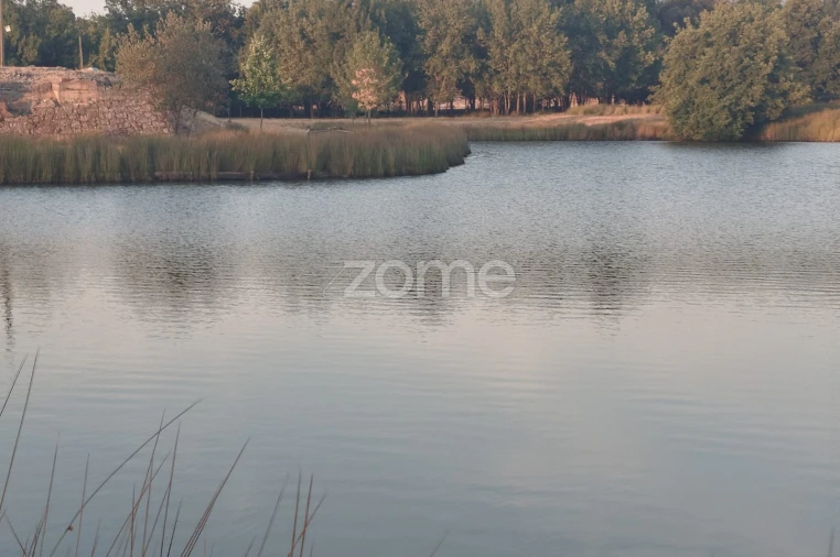 Terreno para Venda em Seia, São Romão e Lapa dos Dinheiros Foto 11