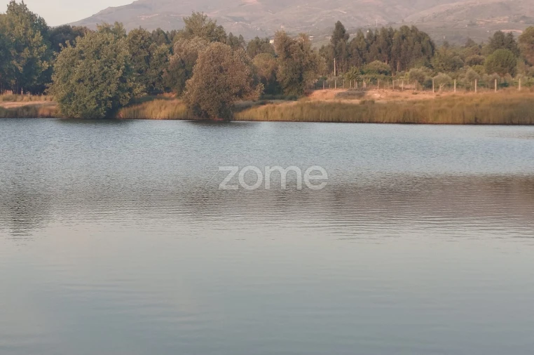 Terreno para Venda em Seia, São Romão e Lapa dos Dinheiros Foto 14