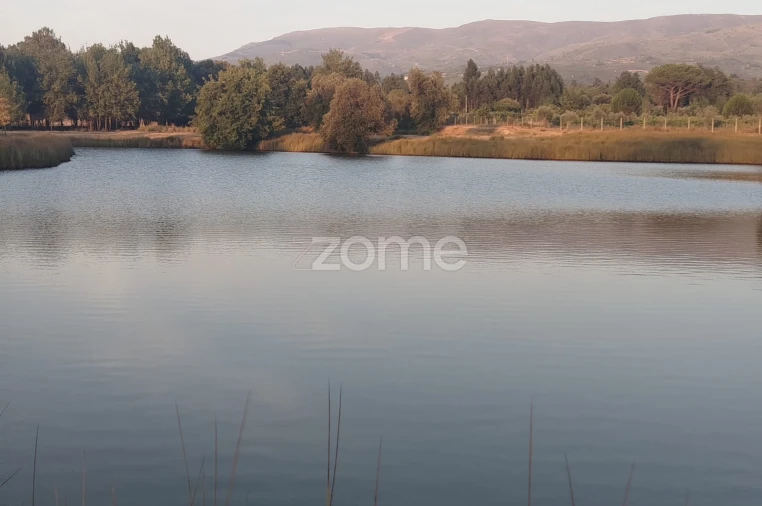 Terreno para Venda em Seia, São Romão e Lapa dos Dinheiros Foto 13