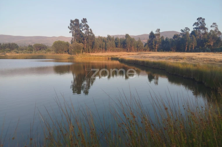 Terreno para Venda em Seia, São Romão e Lapa dos Dinheiros Foto 18