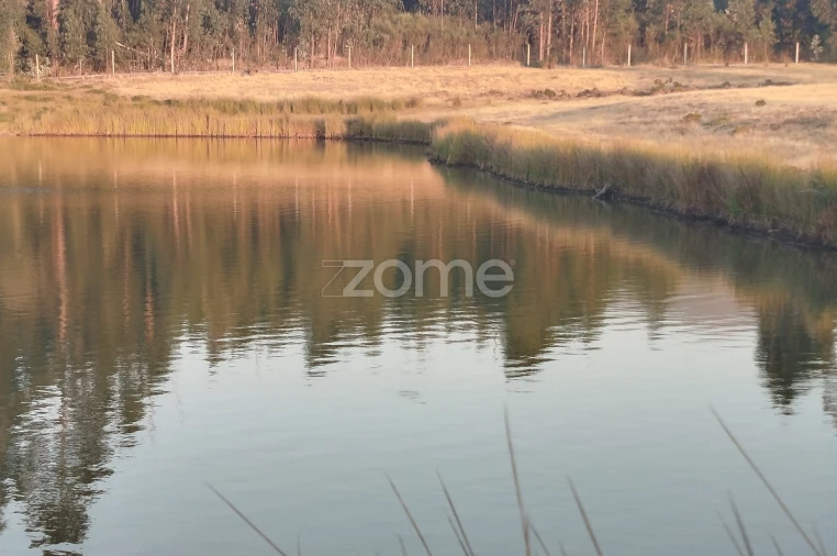 Terreno para Venda em Seia, São Romão e Lapa dos Dinheiros Foto 21
