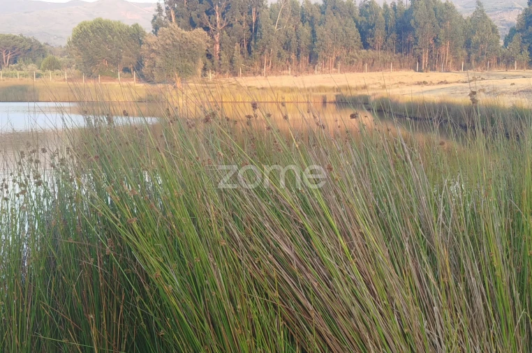 Terreno para Venda em Seia, São Romão e Lapa dos Dinheiros Foto 23