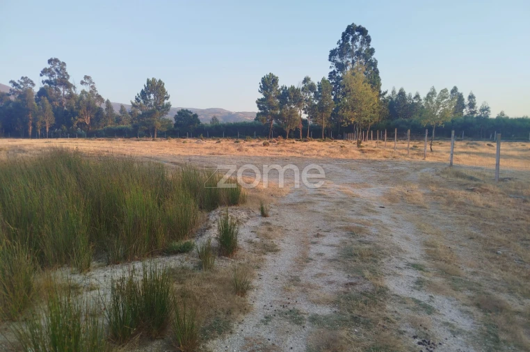 Terreno para Venda em Seia, São Romão e Lapa dos Dinheiros Foto 25