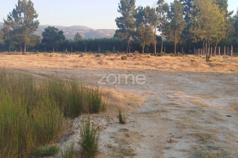 Terreno para Venda em Seia, São Romão e Lapa dos Dinheiros Foto 22