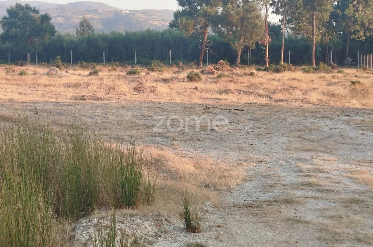 Terreno para Venda em Seia, São Romão e Lapa dos Dinheiros Foto 24