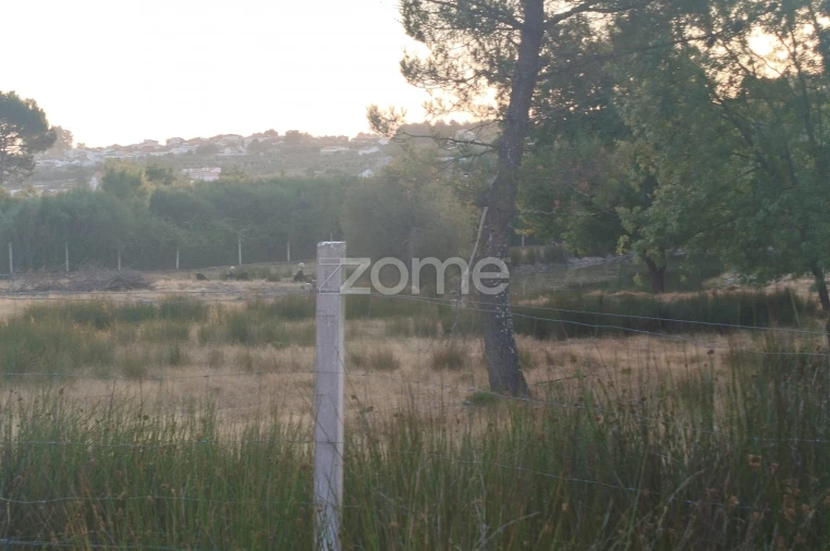Terreno para Venda em Seia, São Romão e Lapa dos Dinheiros Foto 28