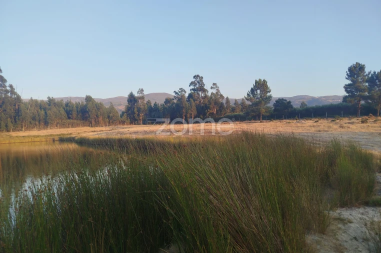 Terreno para Venda em Seia, São Romão e Lapa dos Dinheiros Foto 29
