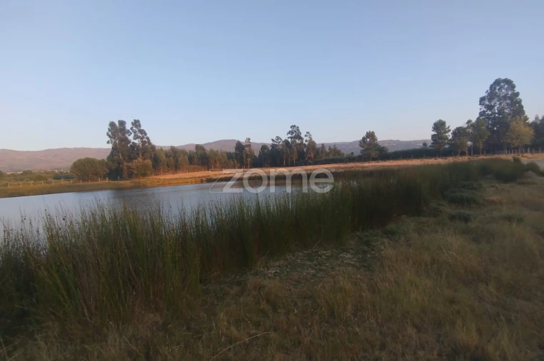 Terreno para Venda em Seia, São Romão e Lapa dos Dinheiros Foto 8