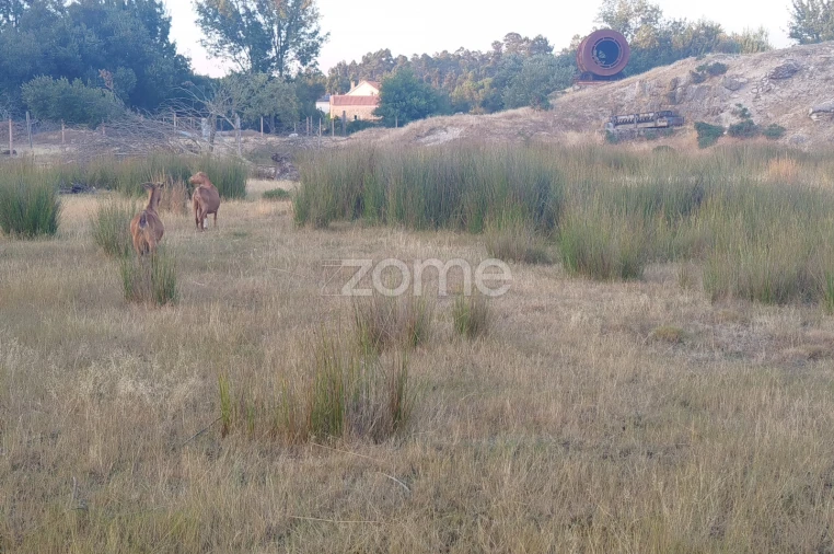 Terreno para Venda em Seia, São Romão e Lapa dos Dinheiros Foto 3