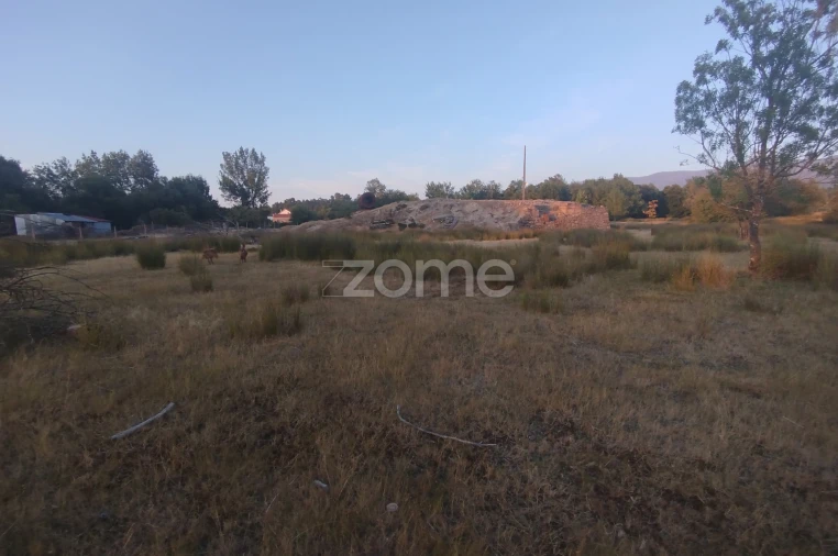 Terreno para Venda em Seia, São Romão e Lapa dos Dinheiros Foto 4