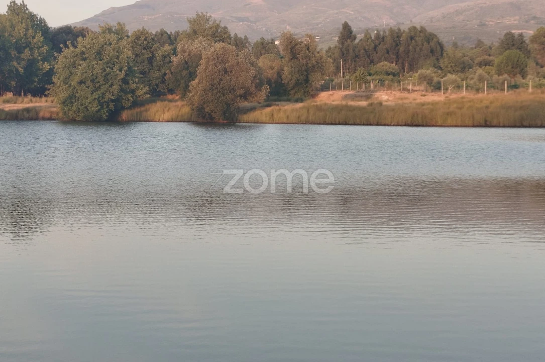 Terreno para Venda em Seia, São Romão e Lapa dos Dinheiros Foto 13