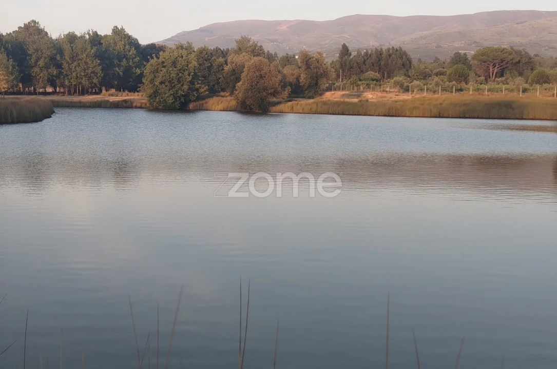 Terreno para Venda em Seia, São Romão e Lapa dos Dinheiros Foto 1
