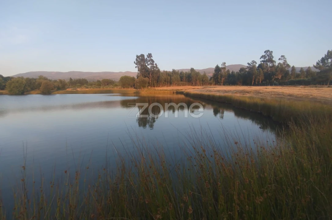 Terreno para Venda em Seia, São Romão e Lapa dos Dinheiros Foto 19
