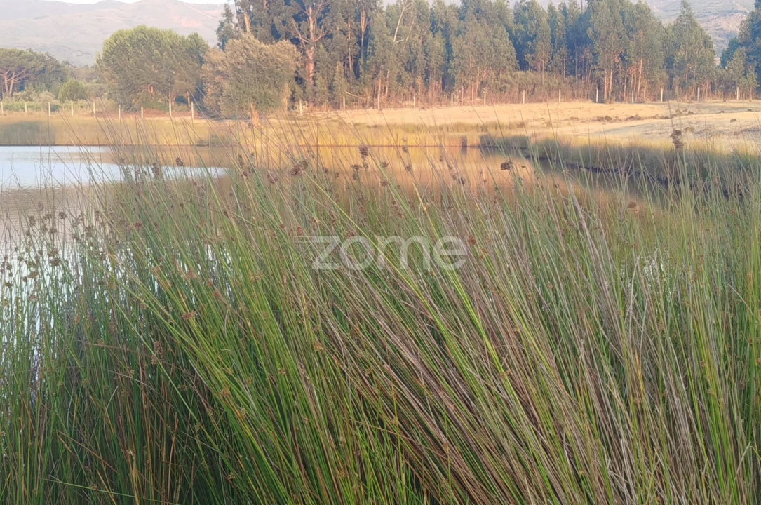 Terreno para Venda em Seia, São Romão e Lapa dos Dinheiros Foto 23