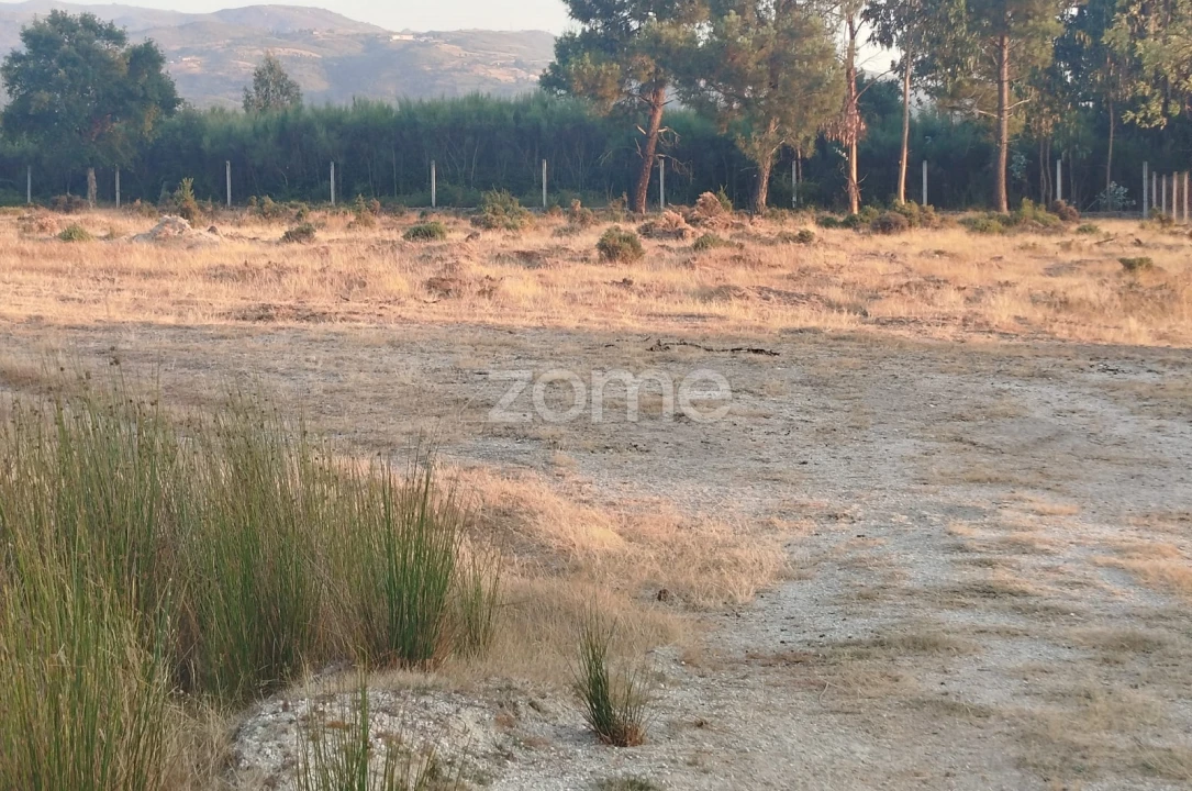 Terreno para Venda em Seia, São Romão e Lapa dos Dinheiros Foto 24