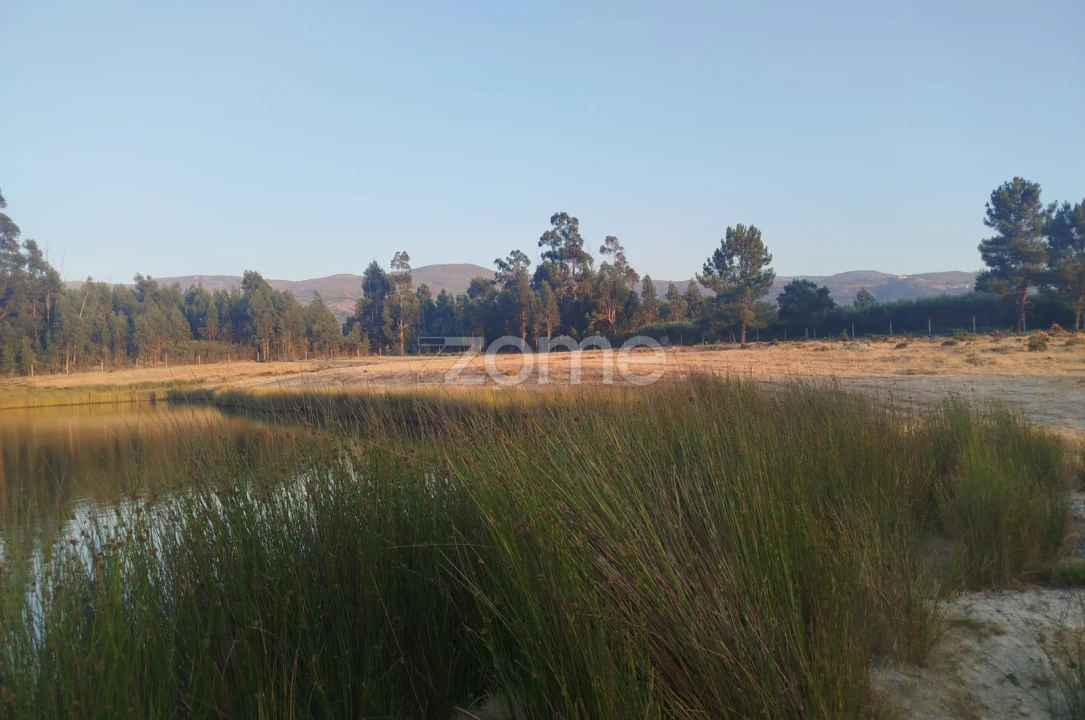 Terreno para Venda em Seia, São Romão e Lapa dos Dinheiros Foto 29