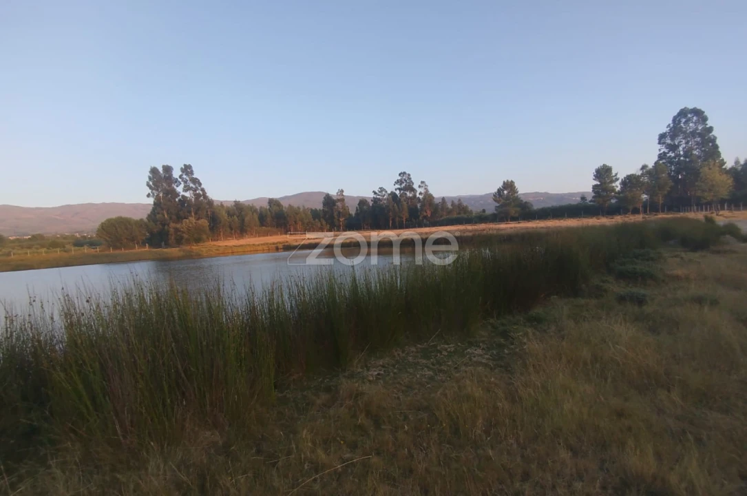 Terreno para Venda em Seia, São Romão e Lapa dos Dinheiros Foto 8