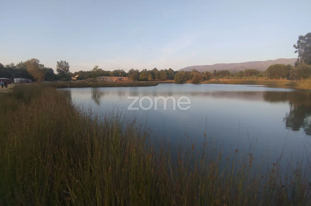 Terreno para Venda em Seia, São Romão e Lapa dos Dinheiros Foto 10