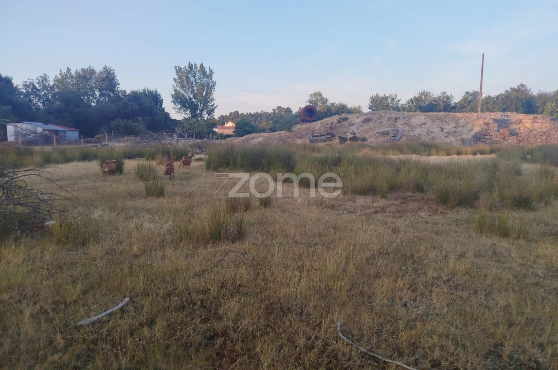 Terreno para Venda em Seia, São Romão e Lapa dos Dinheiros Foto 5