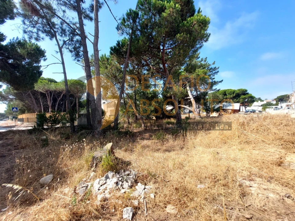 Terreno Agricola ou Rústico para Venda em Sesimbra (Castelo) Foto 3