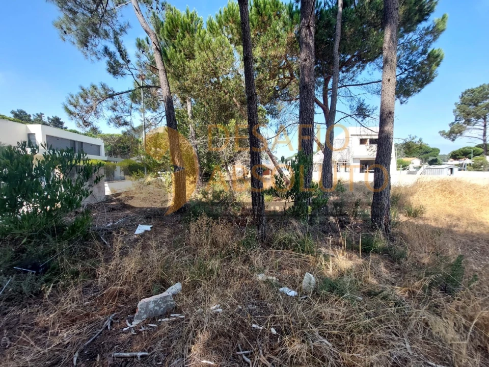 Terreno Agricola ou Rústico para Venda em Sesimbra (Castelo) Foto 4
