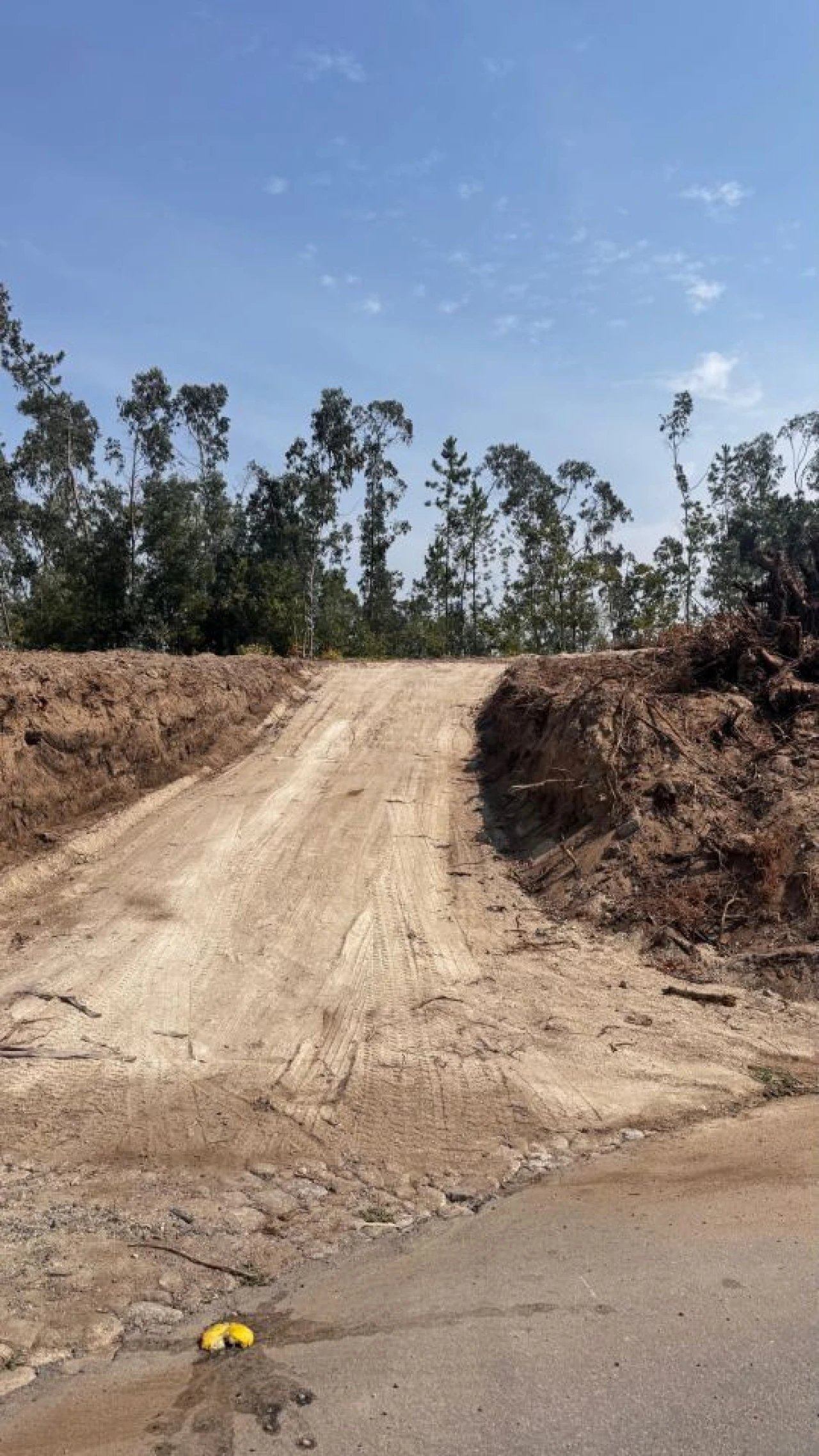 Terreno P/ Prédio para Venda em Abade de Neiva Foto 5
