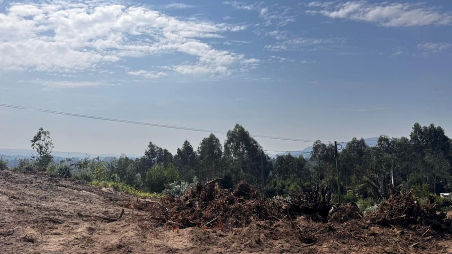 Terreno P/ Prédio para Venda em Abade de Neiva Foto 1