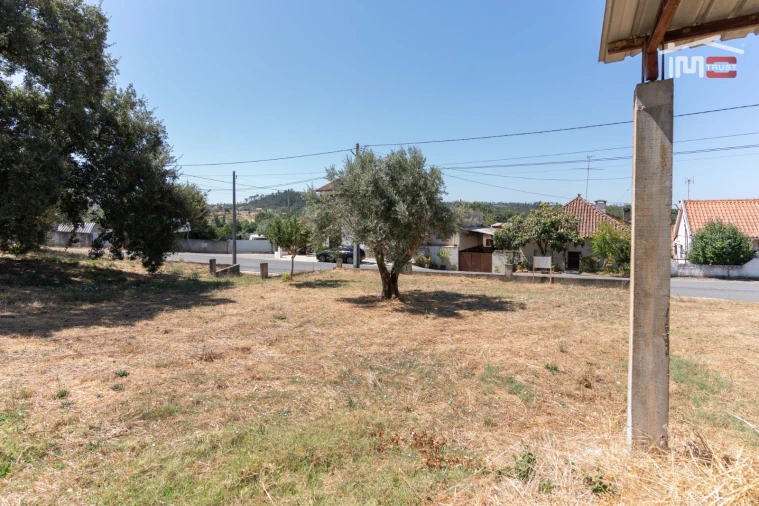 Terreno Misto para Venda em Alburitel Foto 11