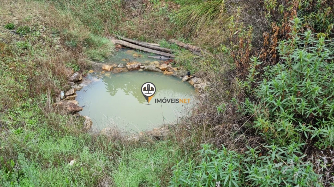 Moradia T3 para Venda em Almaceda Foto 46