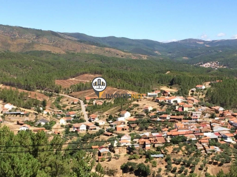 Moradia T3 para Venda em Almaceda Foto 15