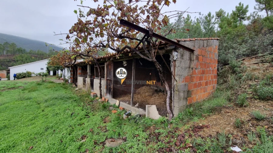 Moradia T3 para Venda em Almaceda Foto 31