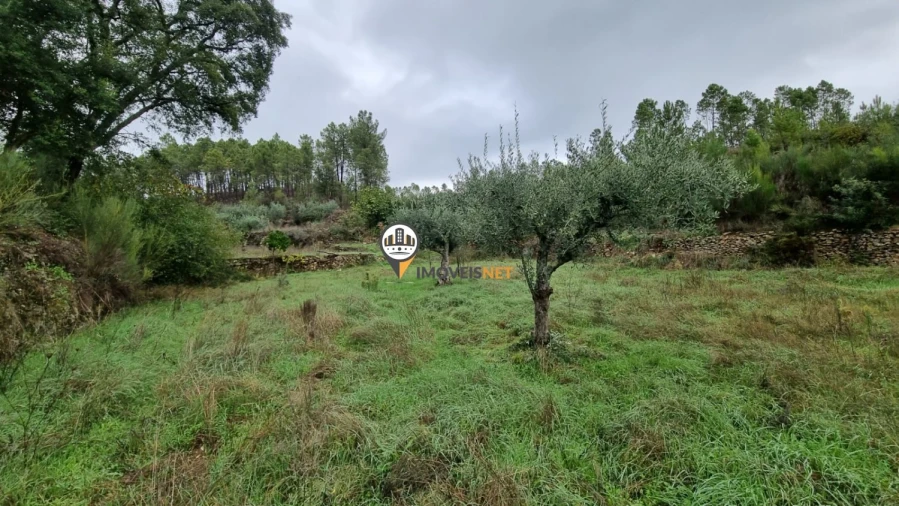 Moradia T3 para Venda em Almaceda Foto 24