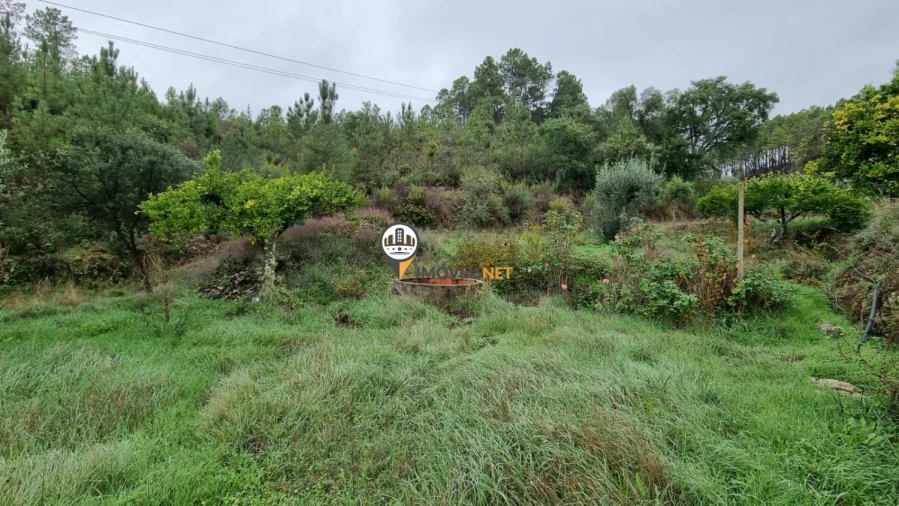 Moradia T3 para Venda em Almaceda Foto 34