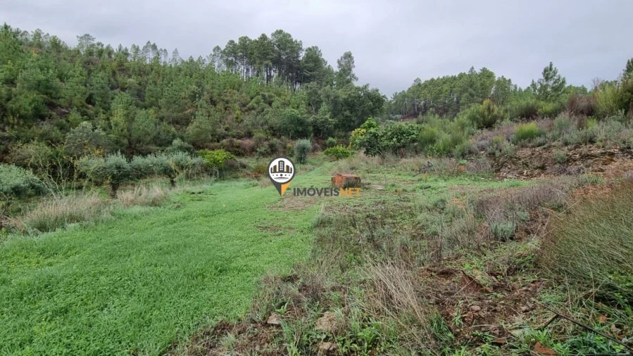 Moradia T3 para Venda em Almaceda Foto 39