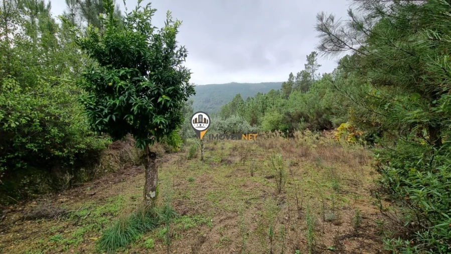 Moradia T3 para Venda em Almaceda Foto 16