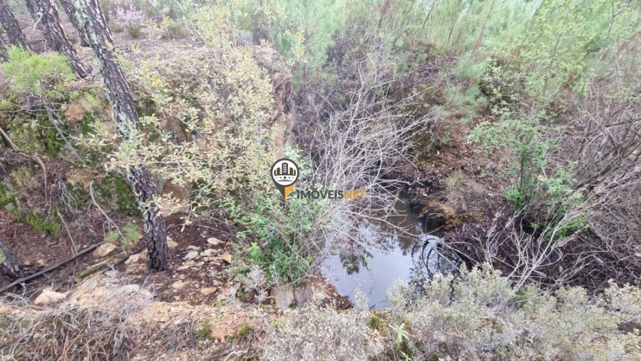 Moradia T3 para Venda em Almaceda Foto 20