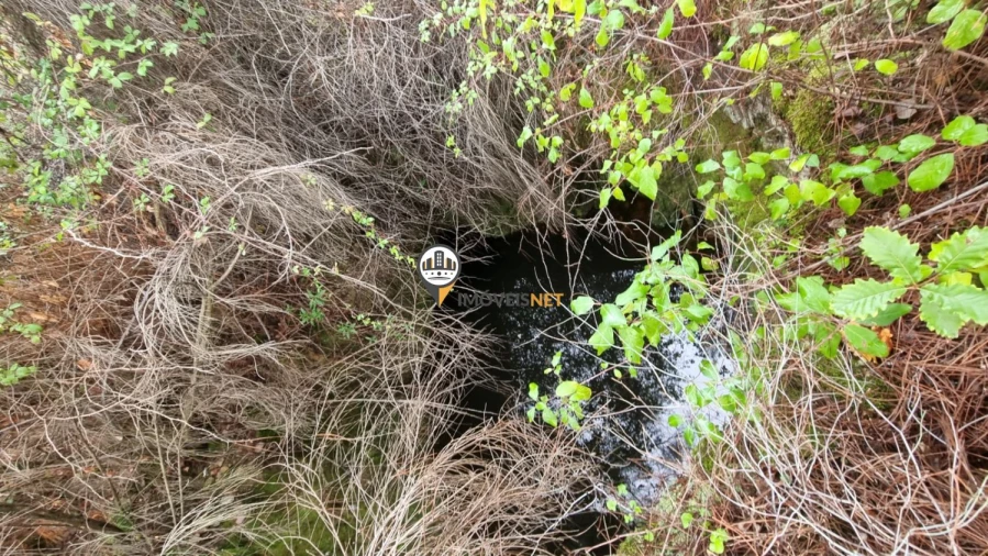 Moradia T3 para Venda em Almaceda Foto 18