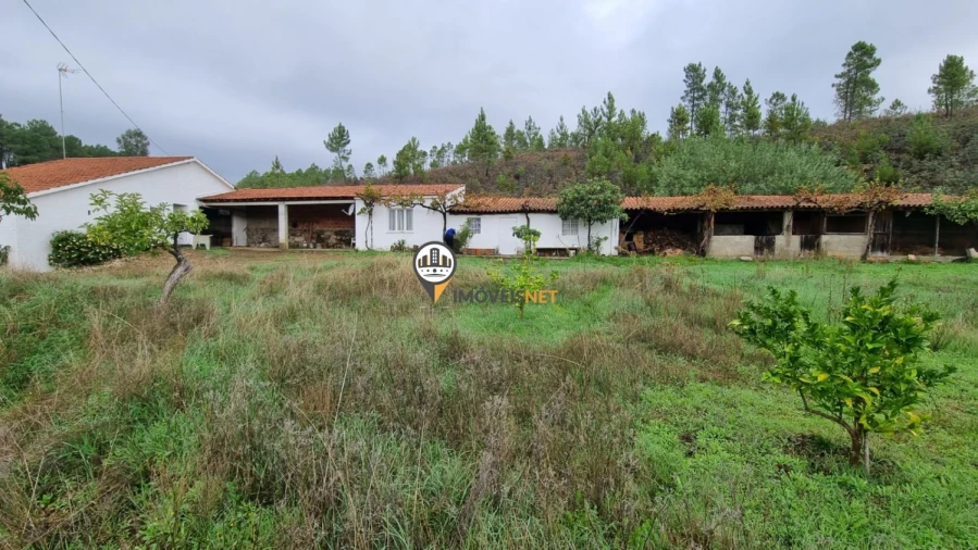 Moradia T3 para Venda em Almaceda Foto 44